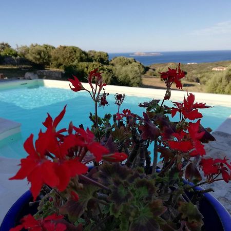 La Sima Villa Con Piscina Vista Mare San Pantaleo Sardegna Екстериор снимка