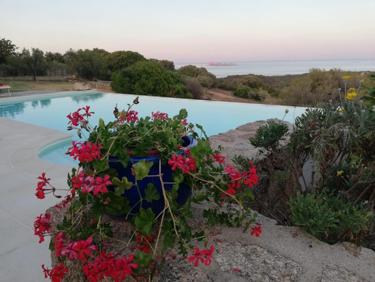 La Sima Villa Con Piscina Vista Mare San Pantaleo Sardegna Екстериор снимка
