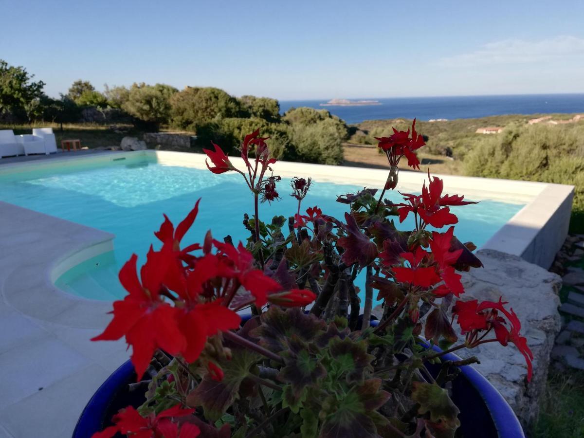 La Sima Villa Con Piscina Vista Mare San Pantaleo Sardegna Екстериор снимка